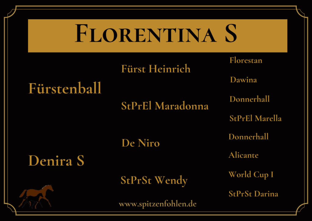 Nachkomme von Fürstenball x De Niro - Stute - Florentina S