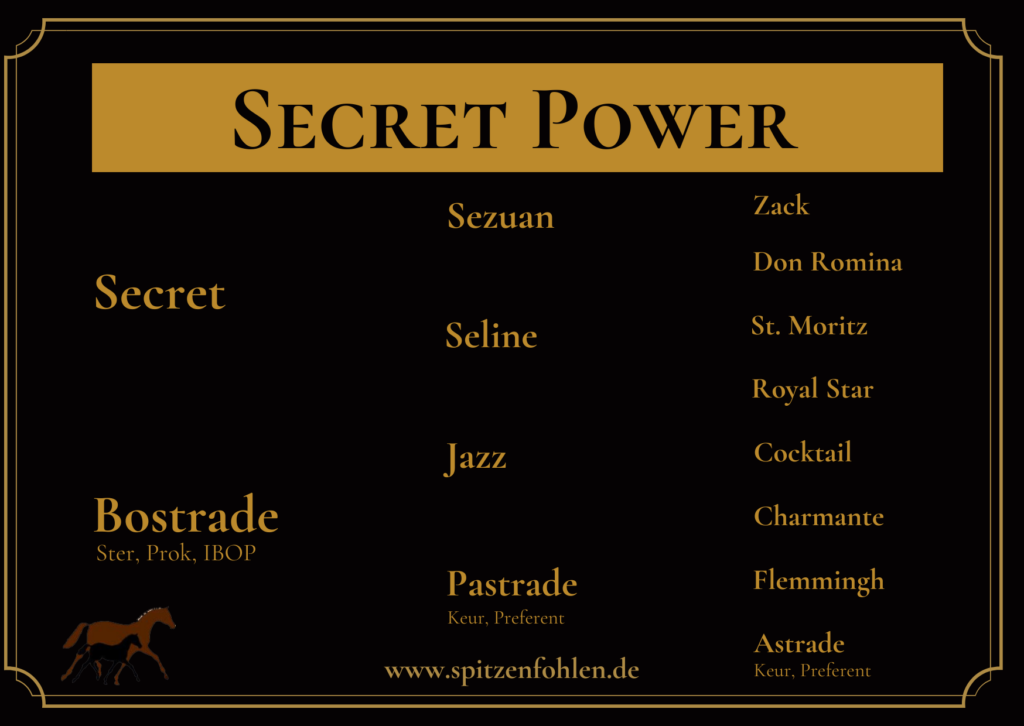 Hengst von Secret x Jazz - Rappe - Secret Power