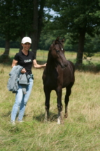 Rappstutfohlen *2025 von Extreme U.S. (Escamillo) x De Niro mit der neuen Besitzerin