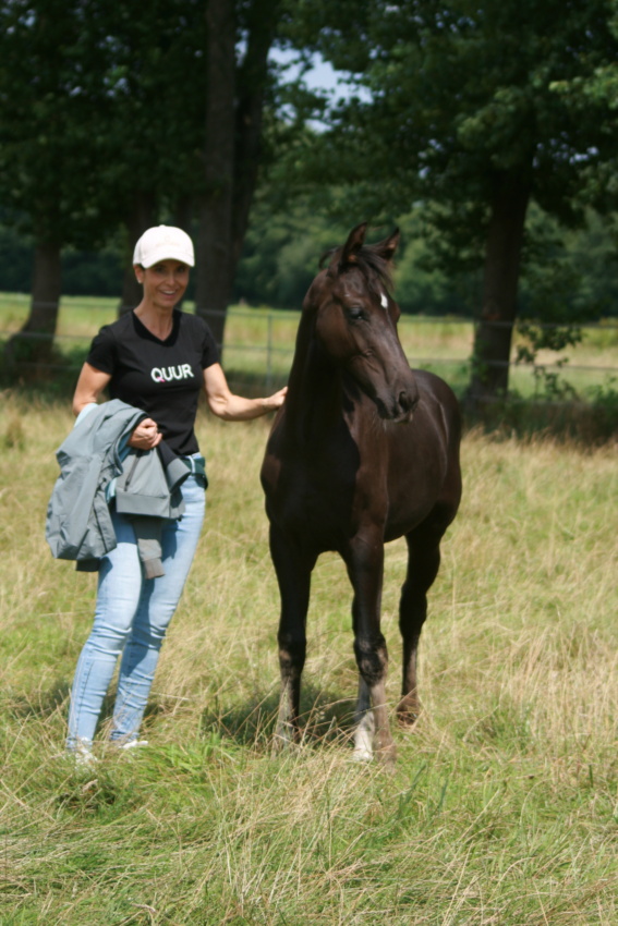 Rappstutfohlen *2025 von Extreme U.S. (Escamillo) x De Niro mit der neuen Besitzerin