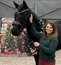 Dreijährige Hannoveraner Stute Dynamic's Beauty Primrose, Rappe, von Dynamic Dream aus einer Fürstenball Mutter