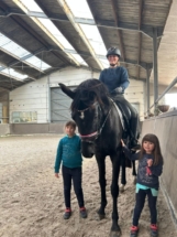 Dreijährige Hannoveraner Stute Dynamic's Beauty Primrose von Dynamic Dream aus einer Fürstenball Mutter