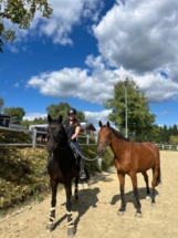 Mit acht Jahren zeigt sich Fürstenprinz als gereifter Sportpartner. Unter seiner Reiterin wirkt er ausbalanciert und leistungsbereit. Die Entwicklung vom typvollen Fohlen zum zuverlässigen Reitpferd bestätigt die Qualität von Aufzucht und Ausbildung. 8-jähriger Westfälischer Wallach Fürstenprinz von Fürstenball aus der Denira S von De Niro mit Reiterin und Handpferd